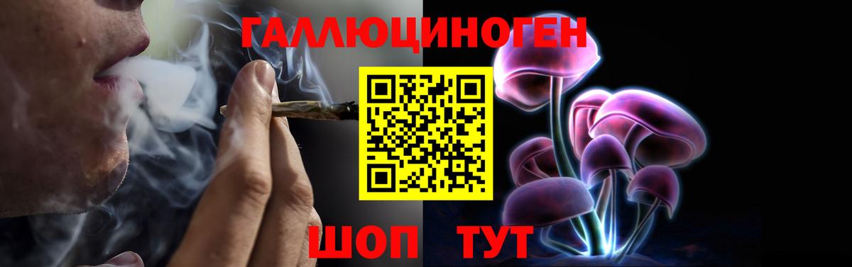 Благовещенск  Псилоцибиновые грибы мухоморы  Вход с VPN 
